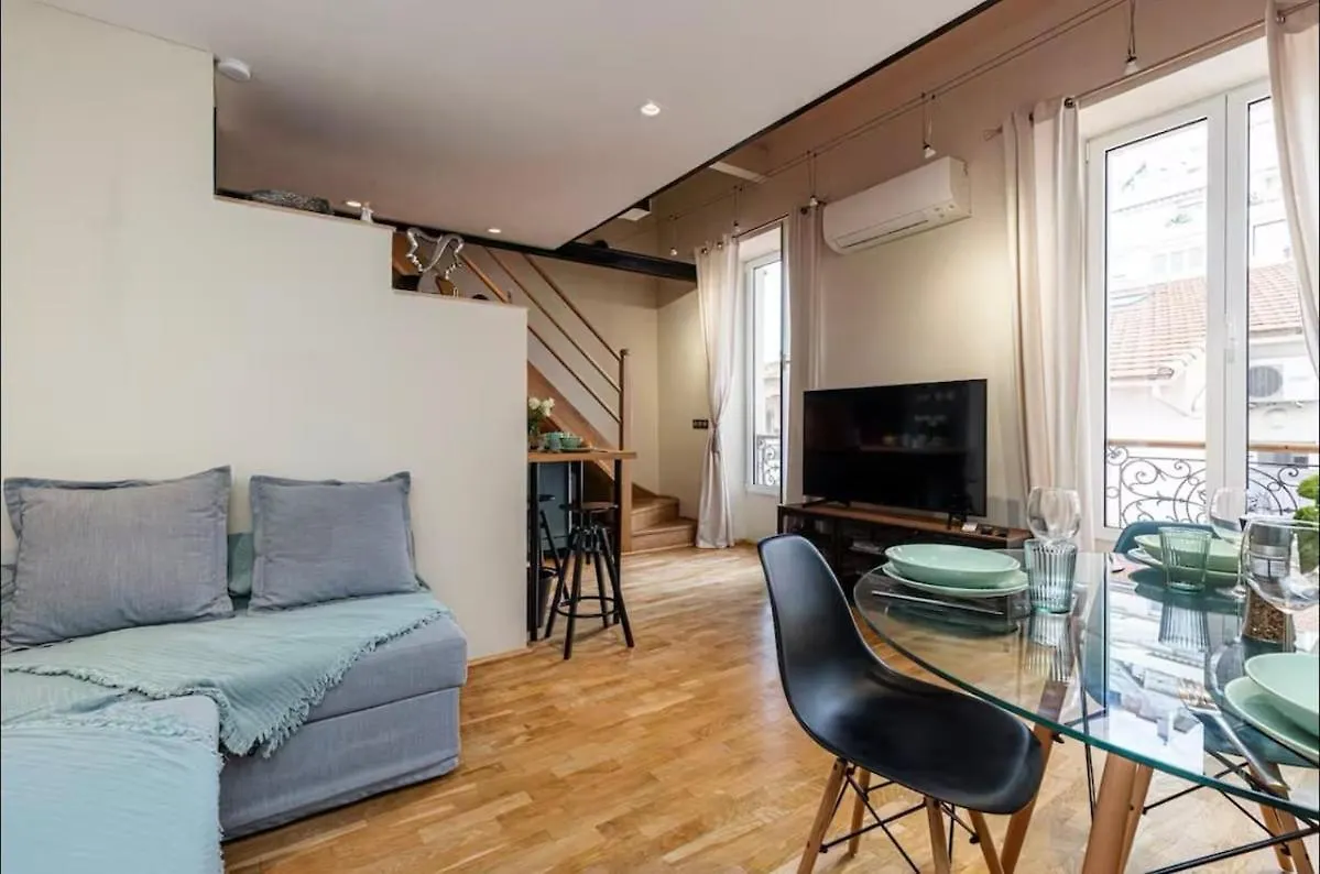 Duplex Center Of Nice With Ac Apartment